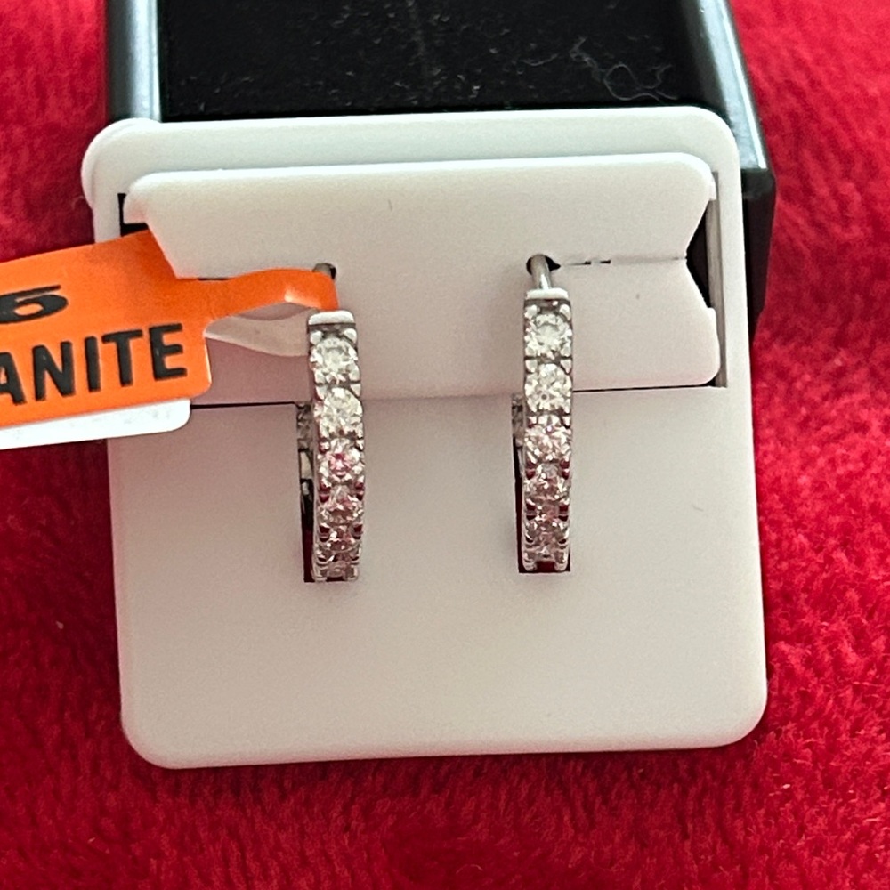 Luxury Moissanite Diamond Classic  Hoop Earrings Unisex‎
